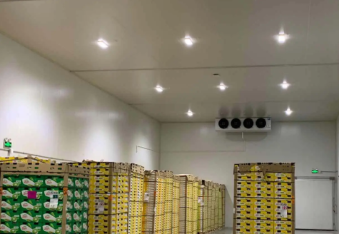 果蔬冷庫 果蔬冷庫