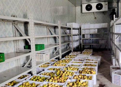 水果冷藏庫安裝 水果冷藏庫安裝