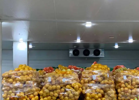 水果冷藏庫造價 水果冷藏庫造價