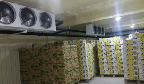 影響冷庫價格的四大因素