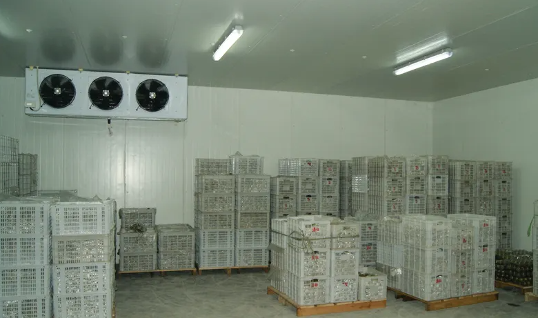 苦瓜保鮮庫 苦瓜保鮮庫