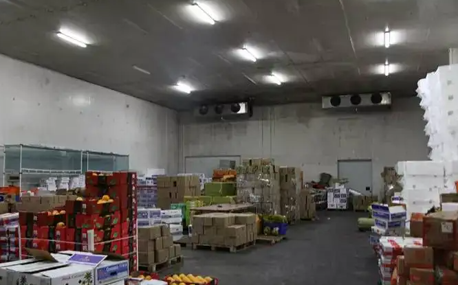 保鮮冷庫(kù) 保鮮冷庫(kù)