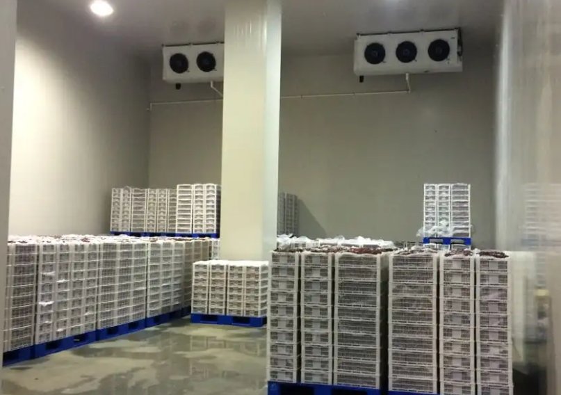 冷庫(kù)設(shè)計(jì) 冷庫(kù)設(shè)計(jì)