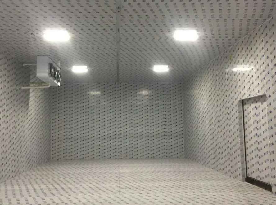 雪域制冷:如何建造一個(gè)性?xún)r(jià)比高的冷庫(kù) 雪域制冷:如何建造一個(gè)性?xún)r(jià)比高的冷庫(kù)