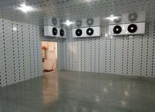 氣調冷庫和冷藏冷庫之間的區別 氣調冷庫和冷藏冷庫之間的區別