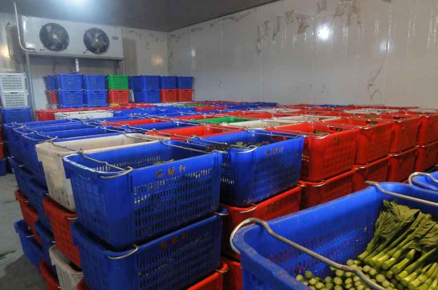 蔬菜能在氣調保鮮庫儲藏多少久 蔬菜能在氣調保鮮庫儲藏多少久