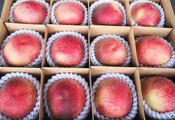 大批量桃子如何在保鮮冷庫中存儲(chǔ) 大批量桃子如何在保鮮冷庫中存儲(chǔ)