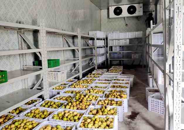 安裝一個水果冷庫要多少錢 安裝一個水果冷庫要多少錢