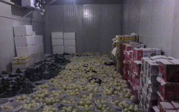 安裝一個水果冷庫要多少錢 安裝一個水果冷庫要多少錢