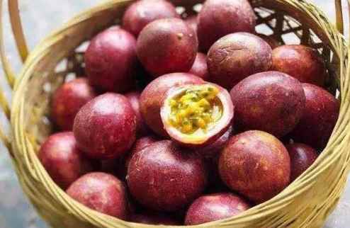 百香果冷庫(kù)儲(chǔ)存技巧和方法 百香果冷庫(kù)儲(chǔ)存技巧和方法