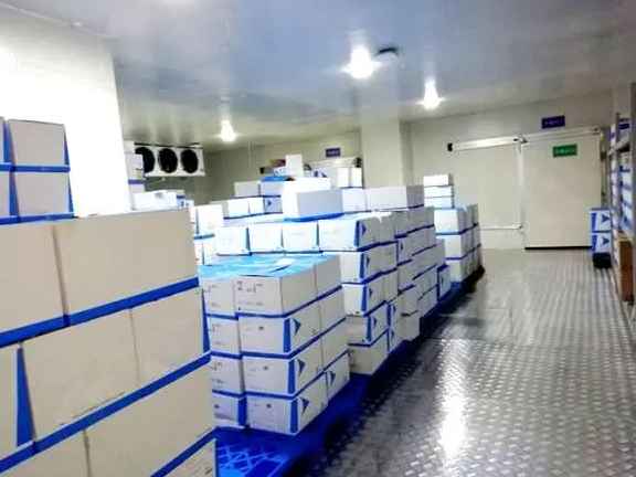 浙江醫(yī)藥冷庫安裝多少錢 浙江醫(yī)藥冷庫安裝多少錢