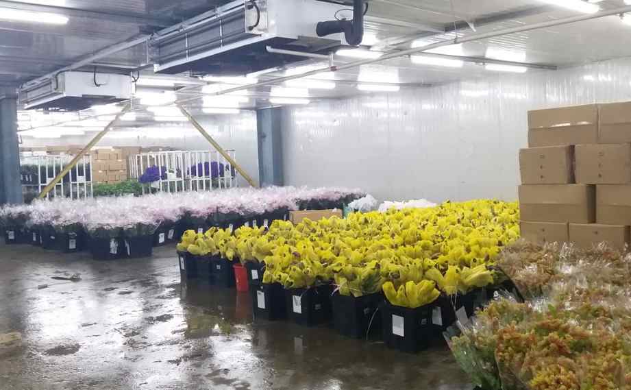 花卉冷庫存儲溫度要求標準 花卉冷庫存儲溫度要求標準