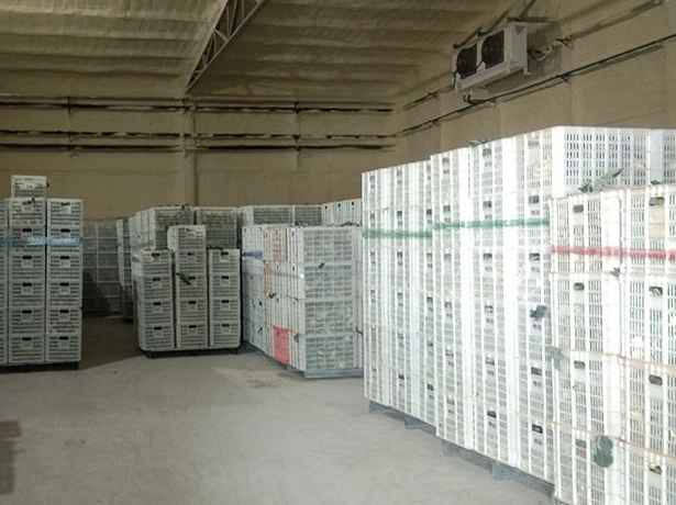 冷庫規(guī)模分類標(biāo)準(zhǔn)是什么