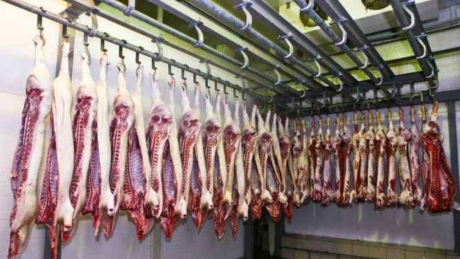 建一個(gè)羊肉保鮮冷庫(kù)要多少錢(qián) 建一個(gè)羊肉保鮮冷庫(kù)要多少錢(qián)