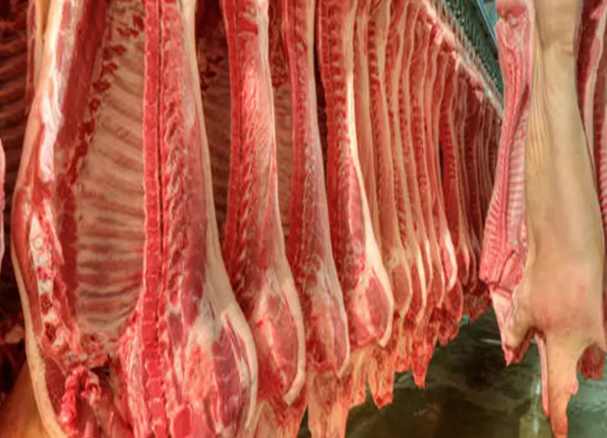 建一個(gè)羊肉保鮮冷庫(kù)要多少錢(qián) 建一個(gè)羊肉保鮮冷庫(kù)要多少錢(qián)