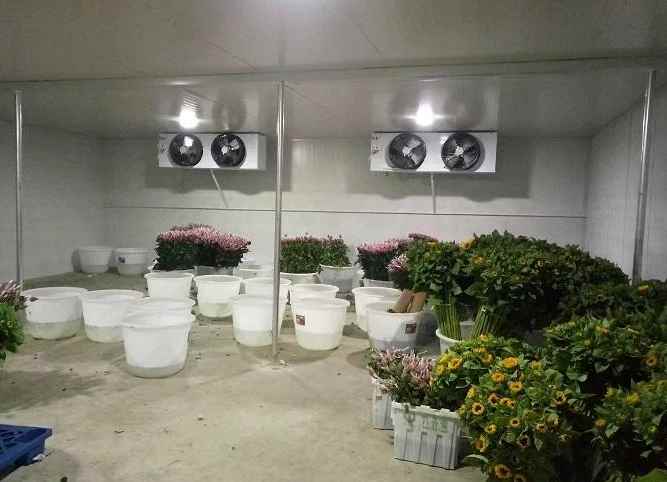 建造一個冷庫需要哪些設備和材料 建造一個冷庫需要哪些設備和材料