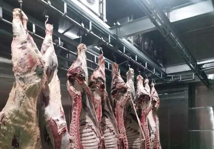 肉類冷凍庫(kù)有什么作用 肉類冷凍庫(kù)有什么作用