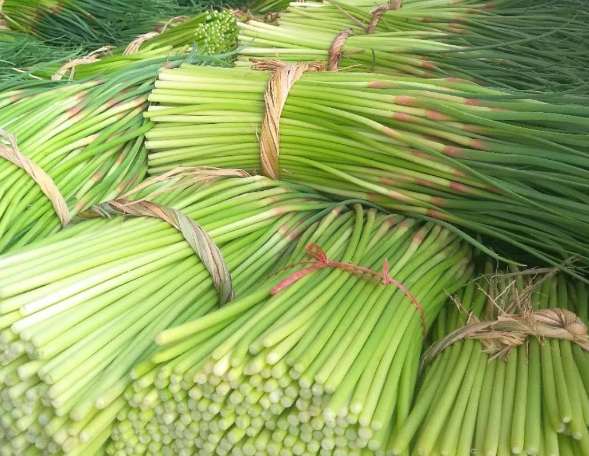 蒜苔冷庫如何正確保鮮儲存？