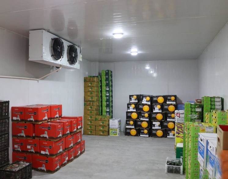 100平方冷庫能放多少噸果蔬 100平方冷庫能放多少噸果蔬