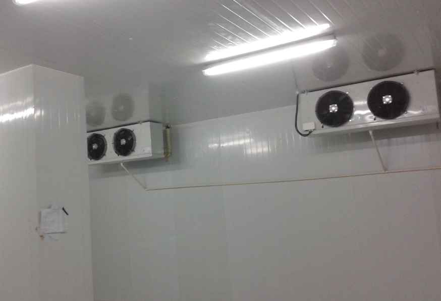 茶葉放冷庫一般設定多少度合適