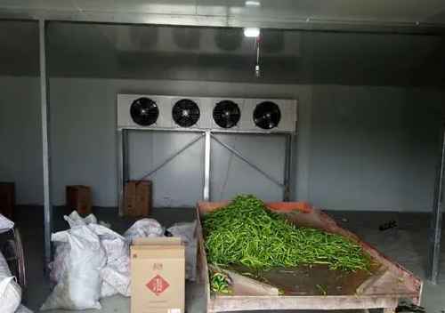 茶葉放冷庫一般設定多少度合適