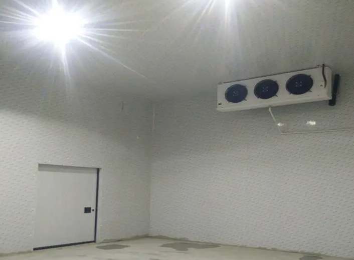 板栗在冷庫(kù)里可以保存幾個(gè)月 板栗在冷庫(kù)里可以保存幾個(gè)月