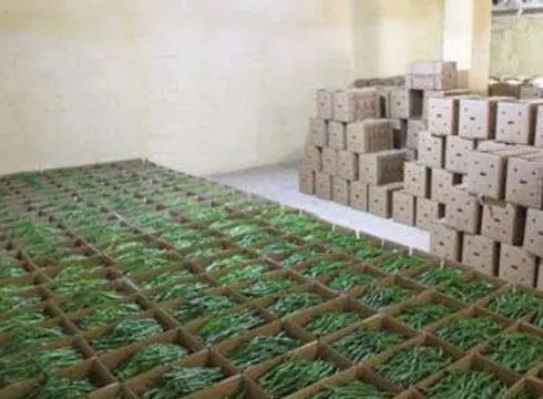 地下冷庫建設投資預算價格多少錢