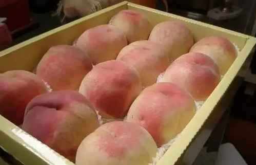 水蜜桃冷庫保鮮技術要求有哪些 水蜜桃冷庫保鮮技術要求有哪些