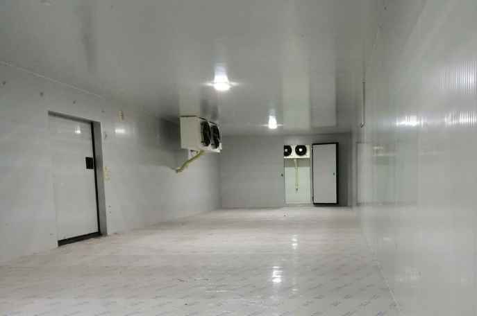 如何科學建造海鮮速凍冷庫？